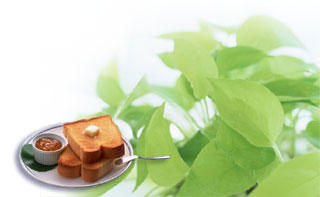 �H���t�v�����ł����났��������