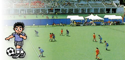 学生スポーツ団体プラン