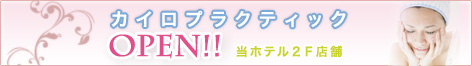 �J�C���v���N�e�B�b�NOPEN�I